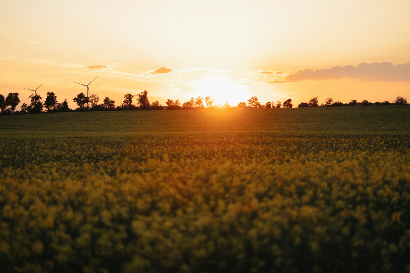 Feiertage Bayern 2025 – Alle Termine im Überblick