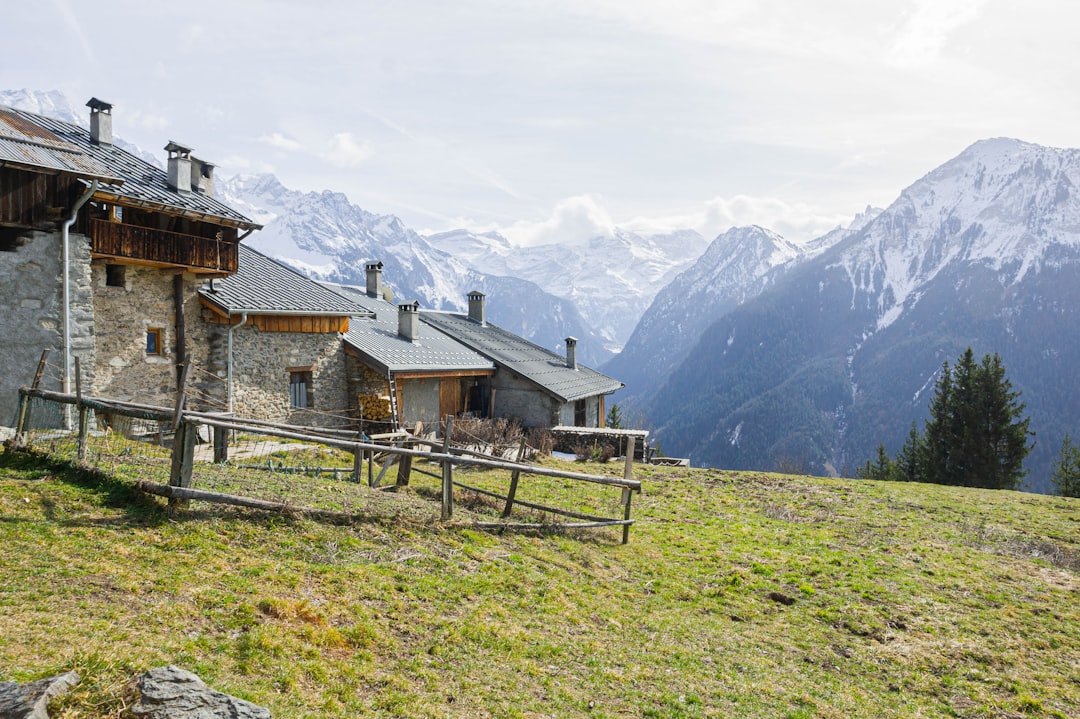a couple of houses sitting on top of a lush green hillside